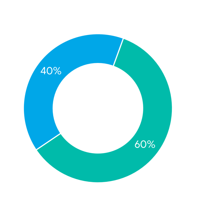 US 60/40 Portfolio Private Fund Asset Allocation - สัดส่วนการลงทุนของกองทุนส่วนบุคคล 60/40 Portfolio